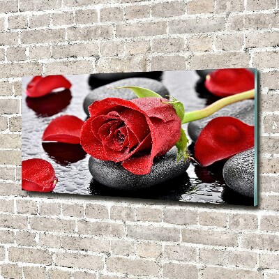 Glasbild Rote Rose