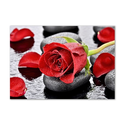 Glasbild Rote Rose