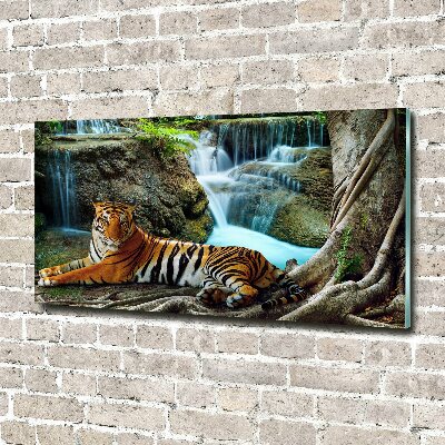 Foto glasbild Tigerwasserfall