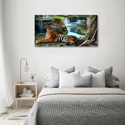 Foto glasbild Tigerwasserfall