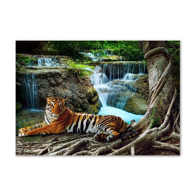 Foto glasbild Tigerwasserfall