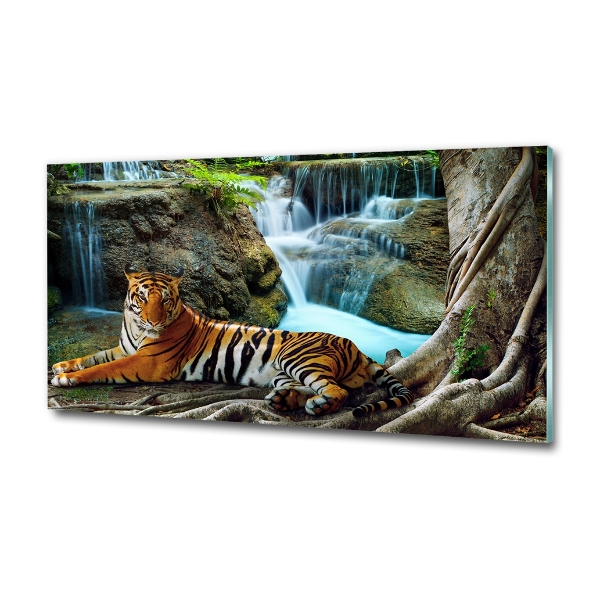 Foto glasbild Tigerwasserfall
