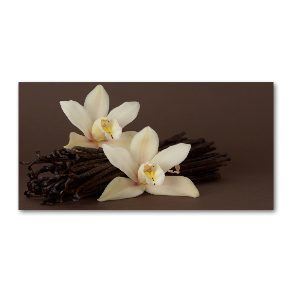 Glasbild Vanilleschoten