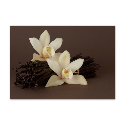 Glasbild Vanilleschoten