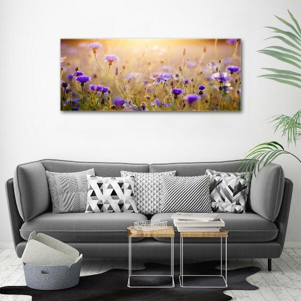 Foto glasbild Wildblumen