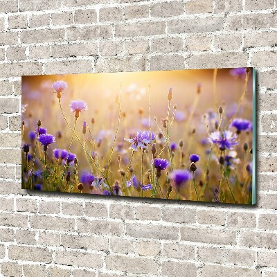 Foto glasbild Wildblumen