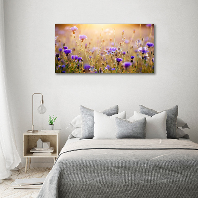 Foto glasbild Wildblumen