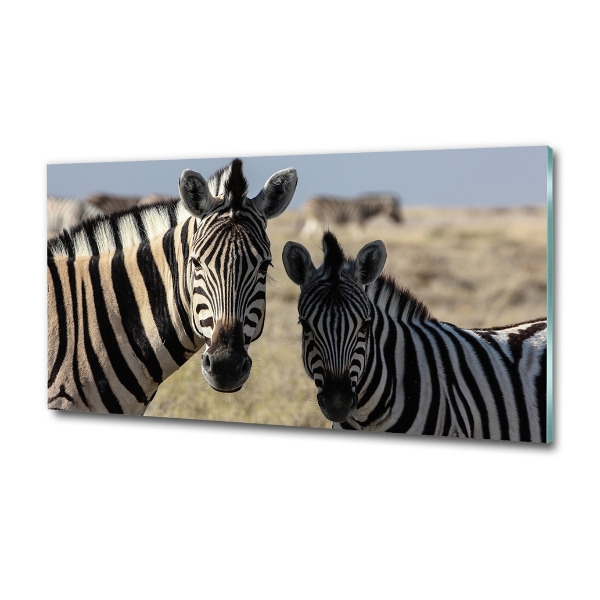 Bild auf glas Zwei Zebras