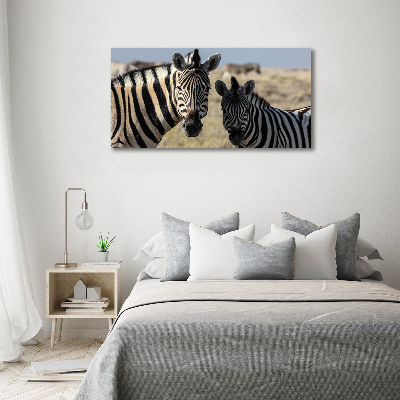 Bild auf glas Zwei Zebras