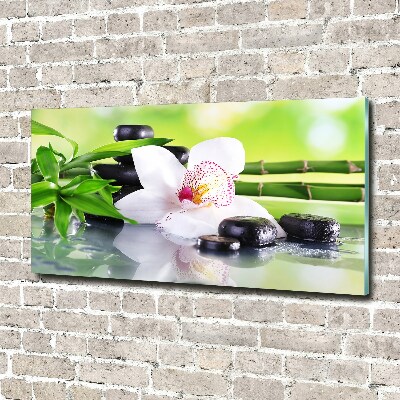Foto glasbild Orchidee