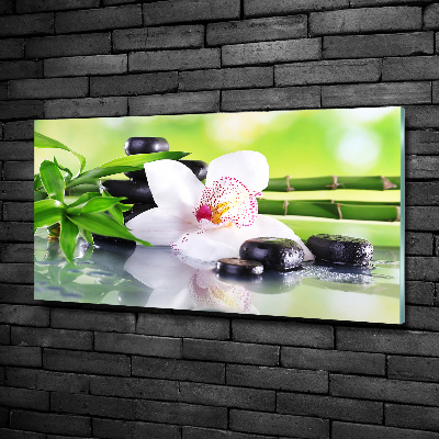 Foto glasbild Orchidee