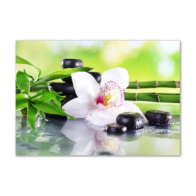 Foto glasbild Orchidee