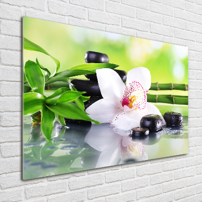 Foto glasbild Orchidee