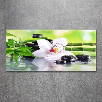 Foto glasbild Orchidee