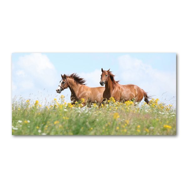 Glasbild Zwei galoppierende Pferde