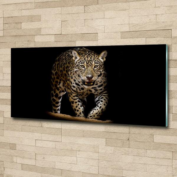 Foto glasbild Jaguar