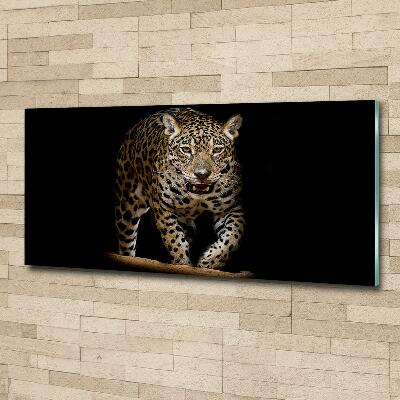 Foto glasbild Jaguar