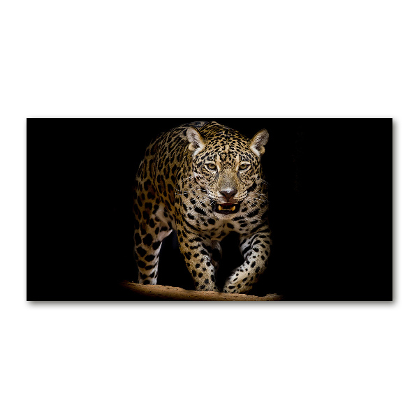 Foto glasbild Jaguar