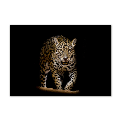 Foto glasbild Jaguar