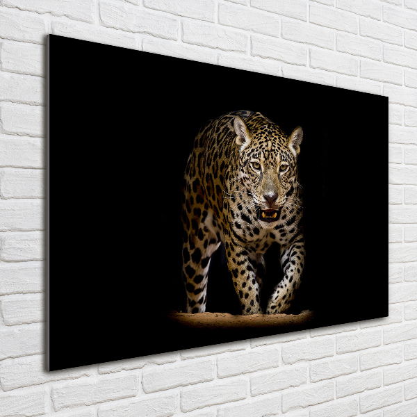 Foto glasbild Jaguar