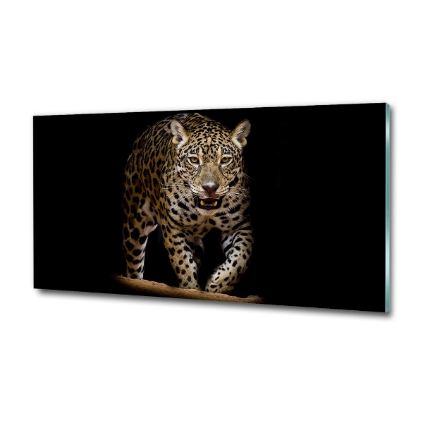 Foto glasbild Jaguar