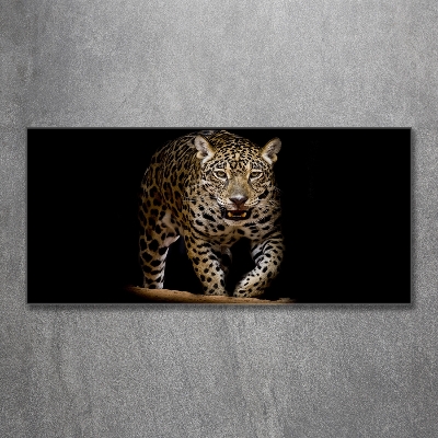 Foto glasbild Jaguar