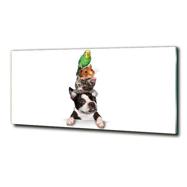 Bild auf glas Eine Gruppe von Tieren