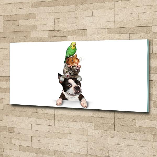 Bild auf glas Eine Gruppe von Tieren