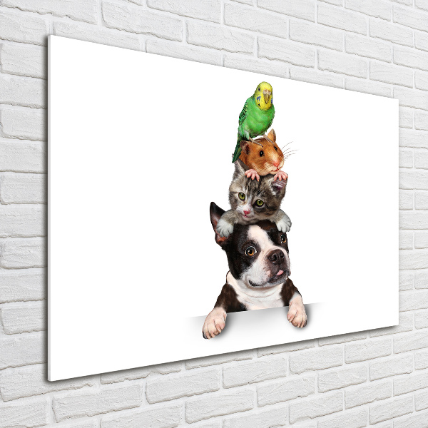 Bild auf glas Eine Gruppe von Tieren