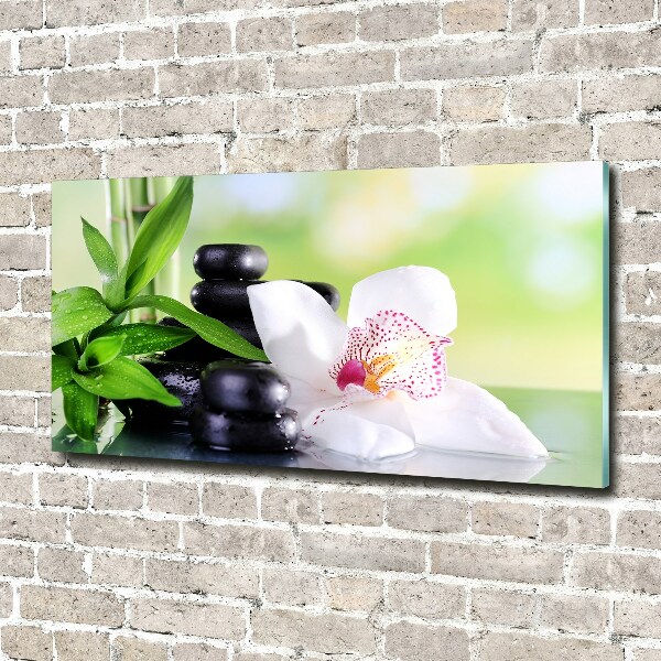 Foto glasbild Orchidee