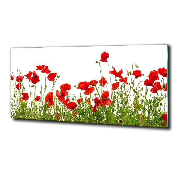 Bild auf glas Mohnblumen