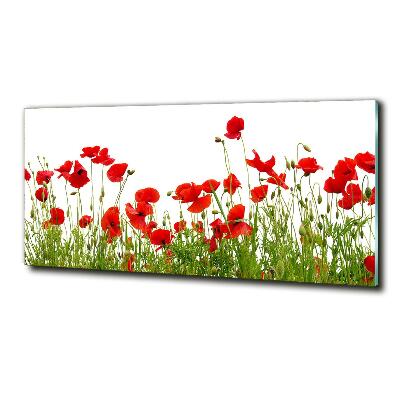 Bild auf glas Mohnblumen