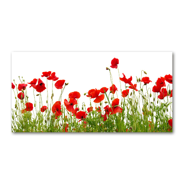 Bild auf glas Mohnblumen