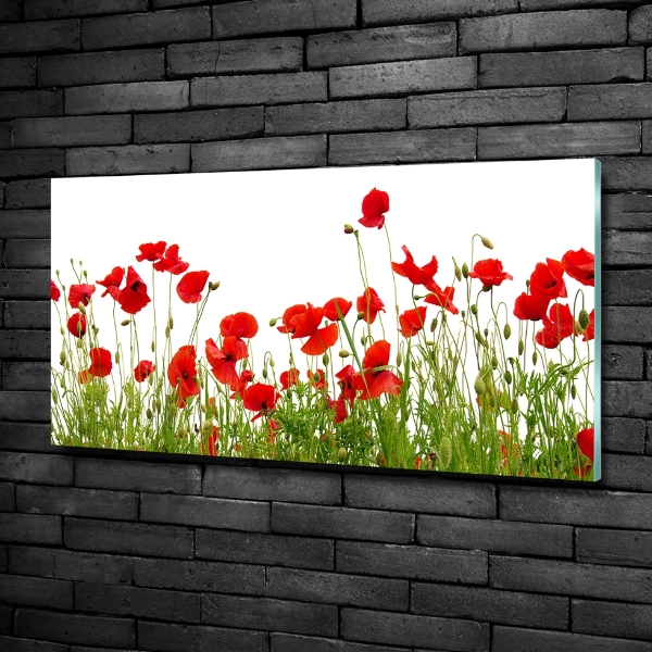 Bild auf glas Mohnblumen