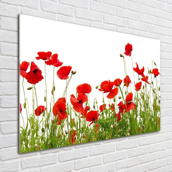 Bild auf glas Mohnblumen