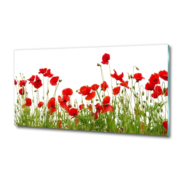 Bild auf glas Mohnblumen