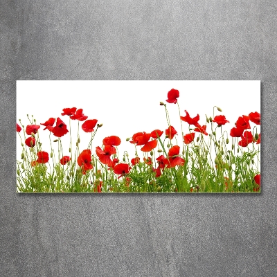 Bild auf glas Mohnblumen