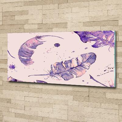 Bild auf glas Federn