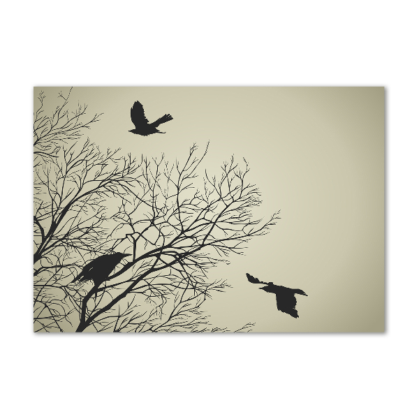 Foto glasbild Krähen auf einem Baum