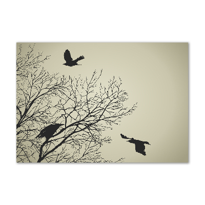 Foto glasbild Krähen auf einem Baum