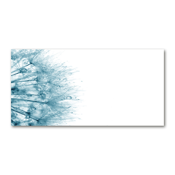 Foto glasbild Löwenzahn