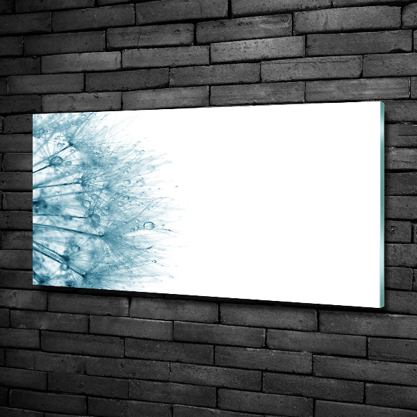 Foto glasbild Löwenzahn