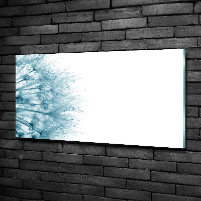 Foto glasbild Löwenzahn