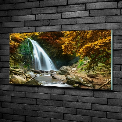 Bild auf glas Wasserfall im Wald