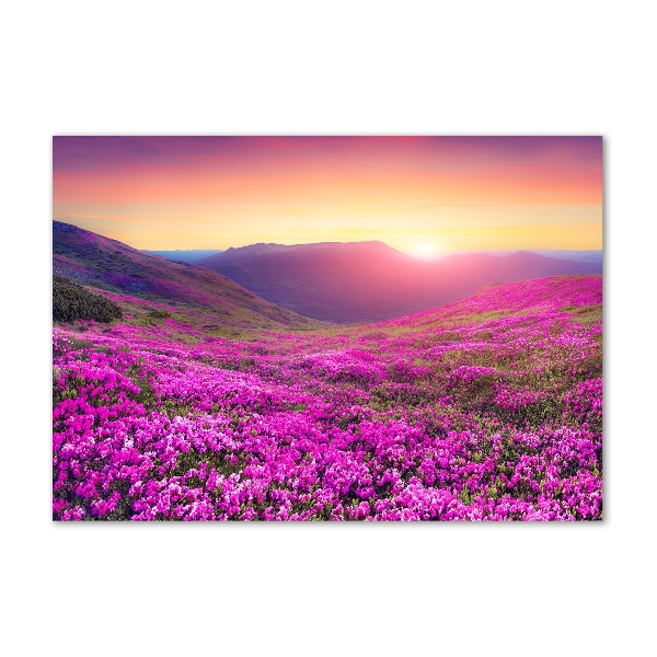 Glasbild Pink Hills