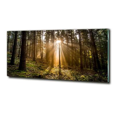 Foto glasbild Sonnenlicht