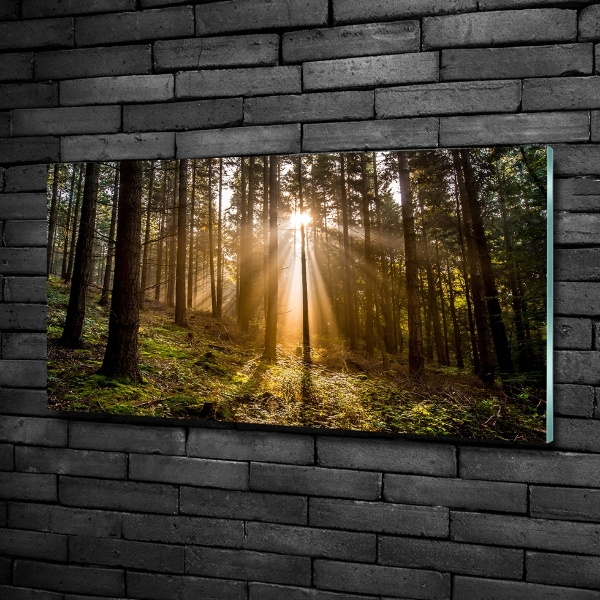Foto glasbild Sonnenlicht