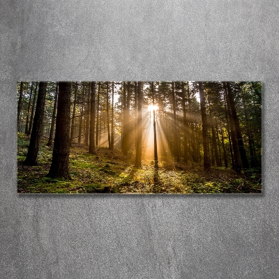 Foto glasbild Sonnenlicht