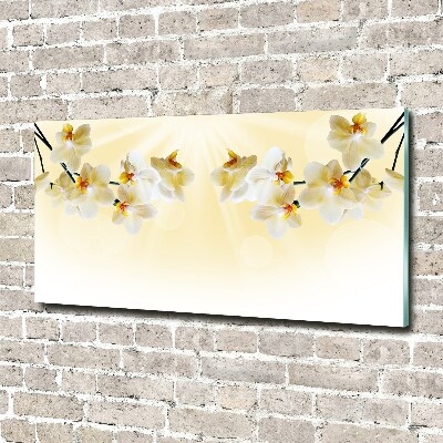 Bild auf glas Orchidee