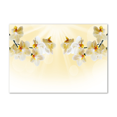 Bild auf glas Orchidee